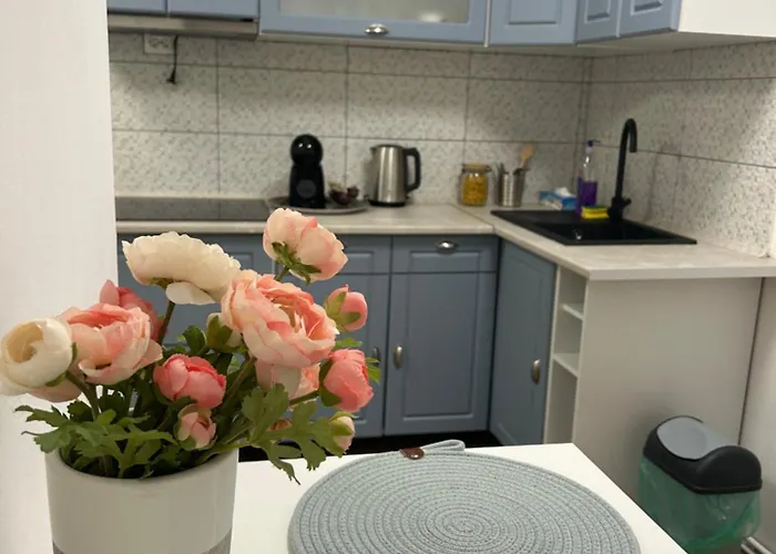 公寓 Due 克卢日-纳波卡